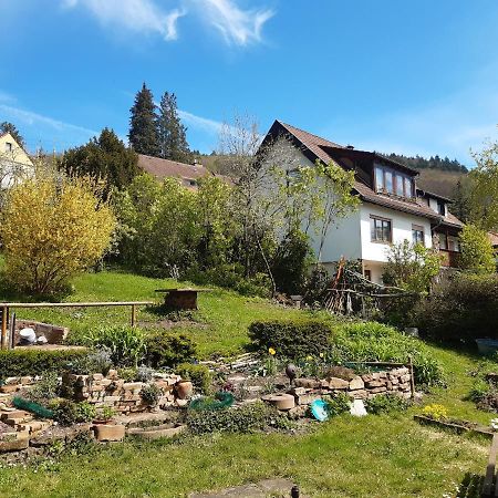 Gastehaus Endrich Hotel Heidelberg Kültér fotó