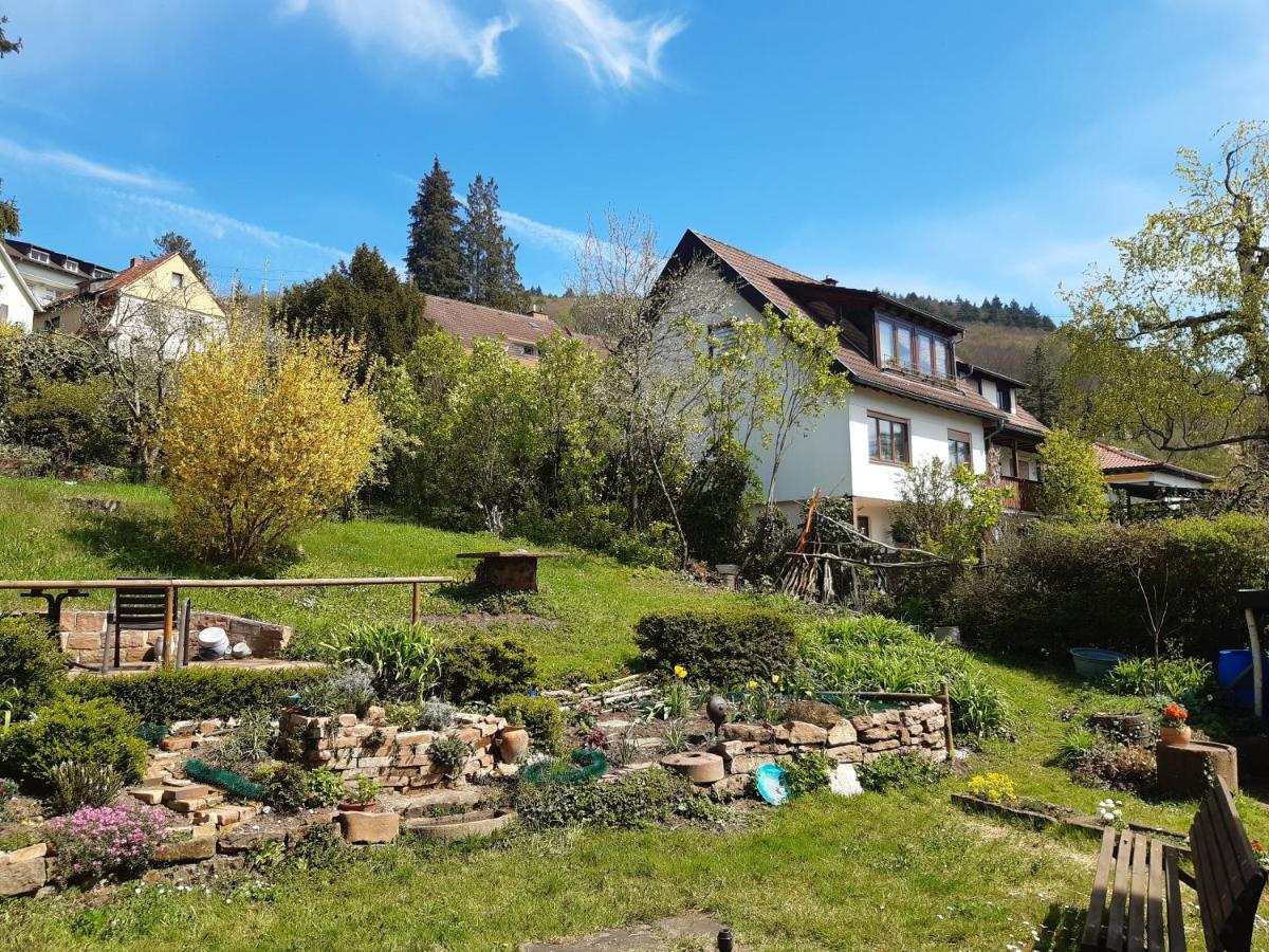 Gastehaus Endrich Hotel Heidelberg Kültér fotó